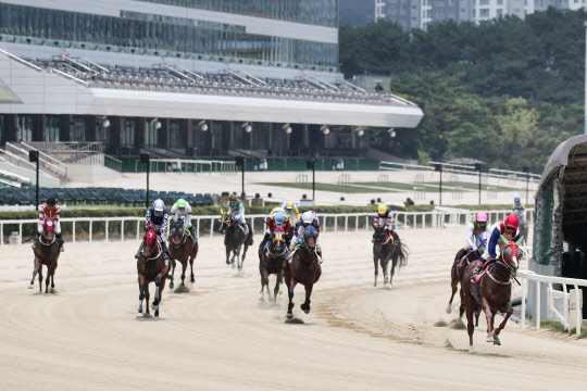 경기도 과천 경마장에서 무관중 경마 경기가 진행되고 있다. <한국마사회 제공>